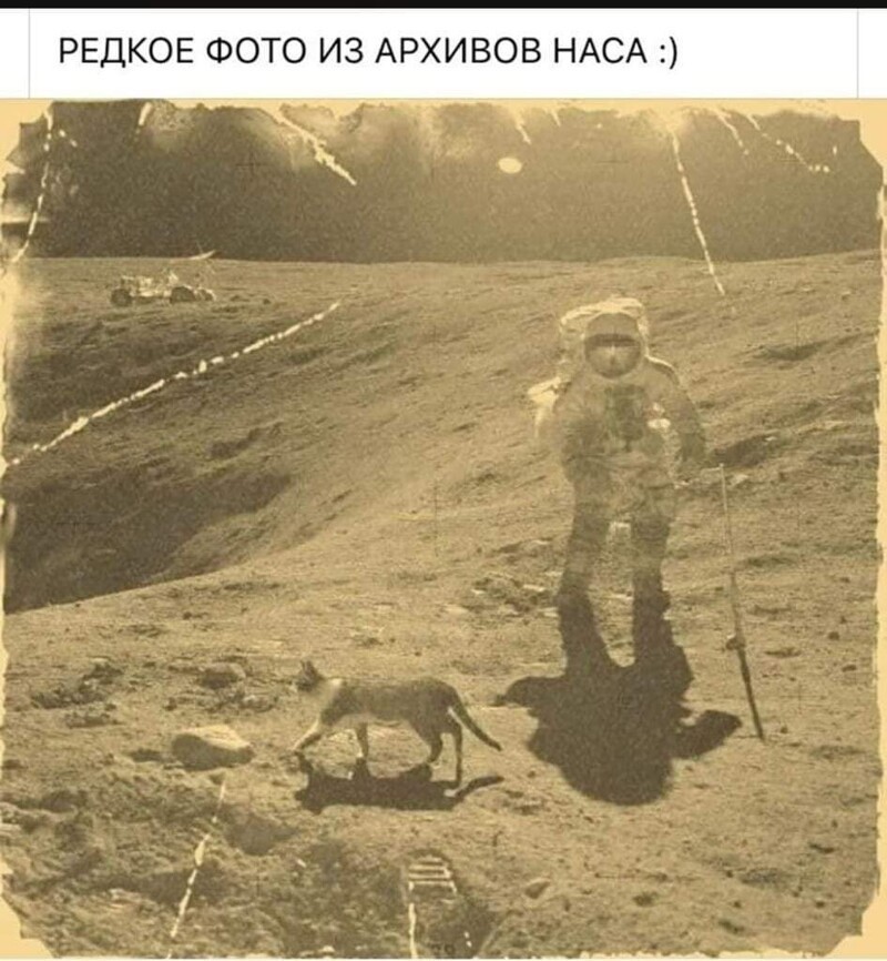 О политике и не только