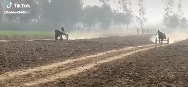 Просто гифки, всякие и разные