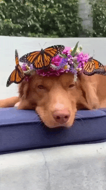 С добрым утром!