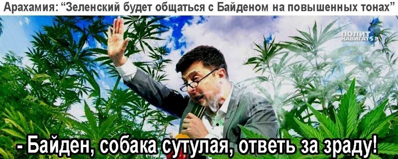 О политике и не только