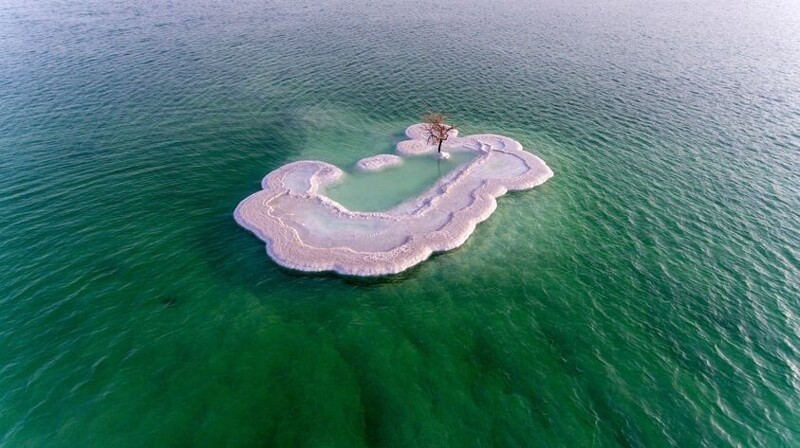 "Древо жизни", растущее на соляном острове посреди Мёртвого моря