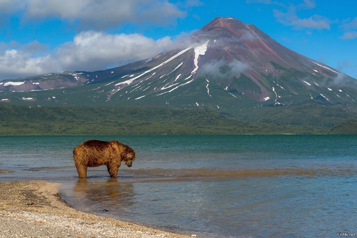 Курильское озеро, Камчатка