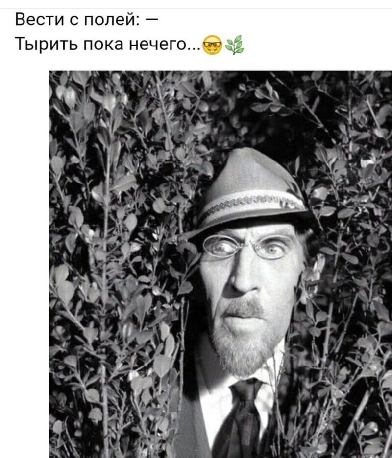 Лето, юмор, позитив, набирайтесь люди сил