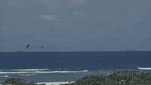 Гифки разные