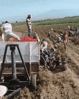 Гифки разные