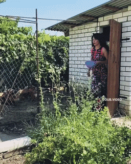 Гифки разные