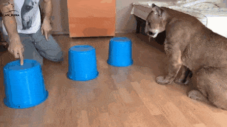 Гифки разные