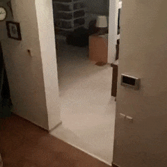 Гифки разные