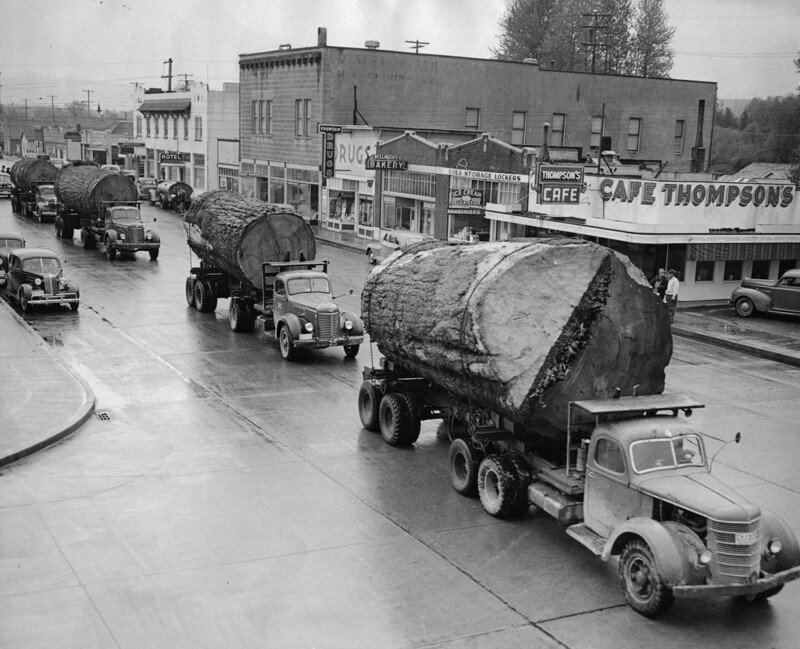 Грузовики с брёвнами в Норт-Бенд, округ Кинг, штат Вашингтон, 1943 год