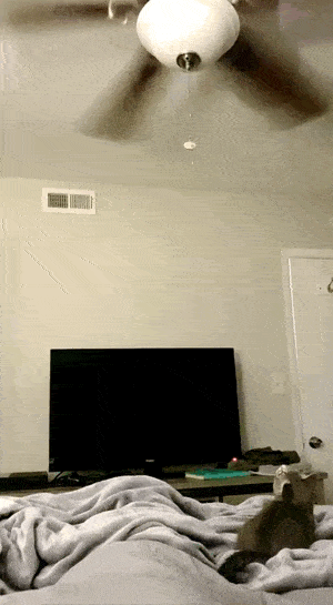 С добрым утром!