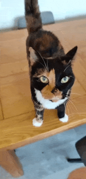 С добрым утром!