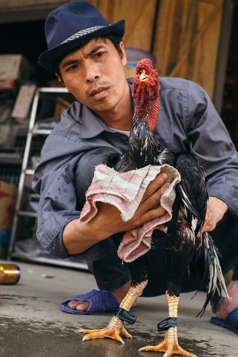 Необыкновенное путешествие из южного Вьетнама в северный в 30 фотографиях