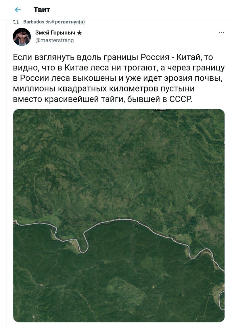 Безумная политота ( Выпуск 2)