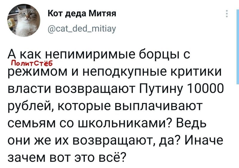 О политике и не только