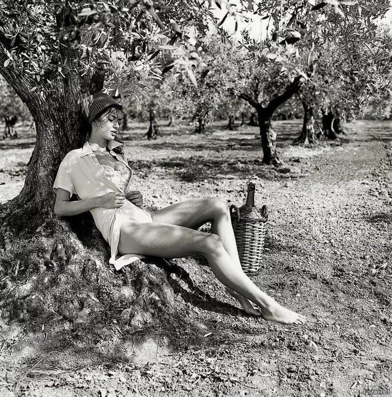 Фотограф Мишель Перес запечатлел суть сицилийской жизни 1960-х годов для журнала Bambi. В серии фотографий Переса «Сицилийское приключение» представлена румынская модель Катринель Менгиа