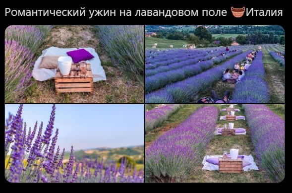 Безумная политота (дневной выпуск №4)