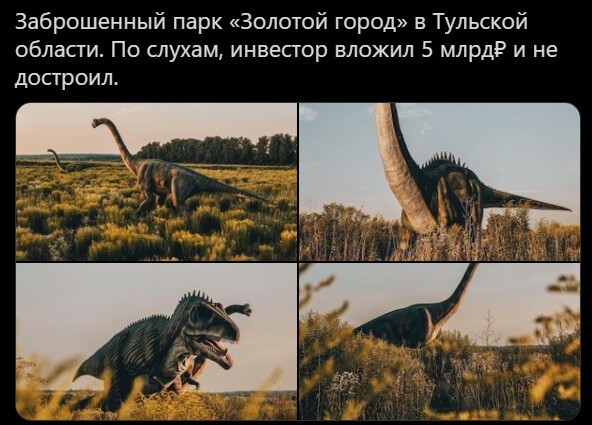 Безумная политота ( Вечерний выпуск №5)