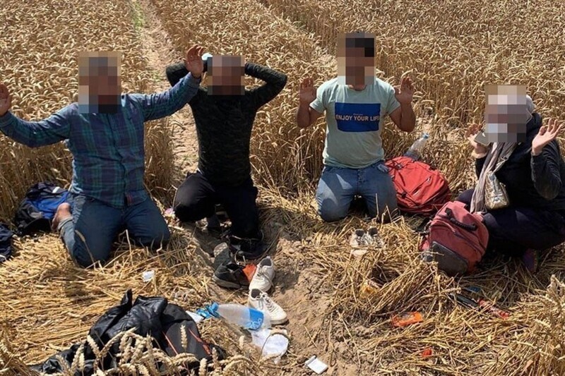 Белорусские пограничники нашли пятерых избитых мигрантов из Ирака