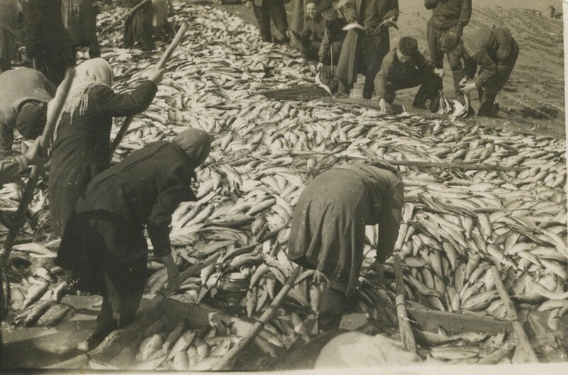 «Ловись рыбка большая...» Рыболовный бум в СССР