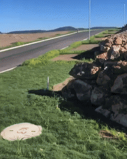 Пока родители снимают