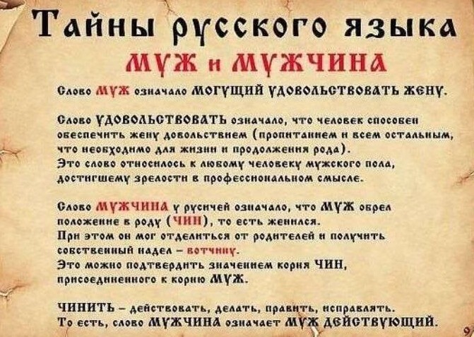 Безумная политота ( Дневной выпуск №8)