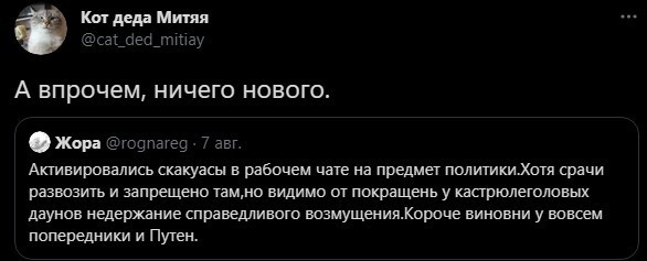 Безумная политота ( Дневной выпуск №8)