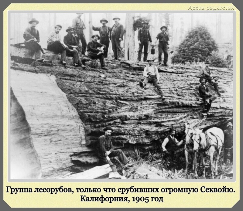 Фотографии с богатым историческим прошлым со всего мира