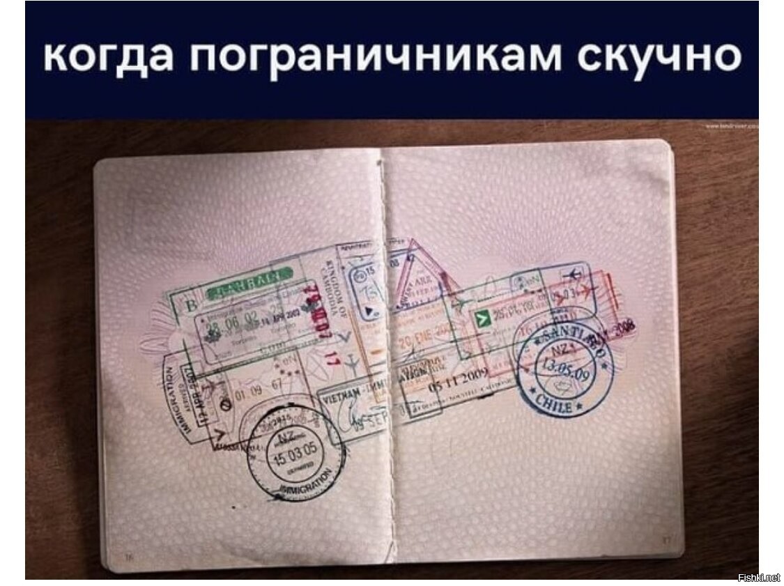 3310b9c54b1059e97461cdbf9c6169d1.jpg