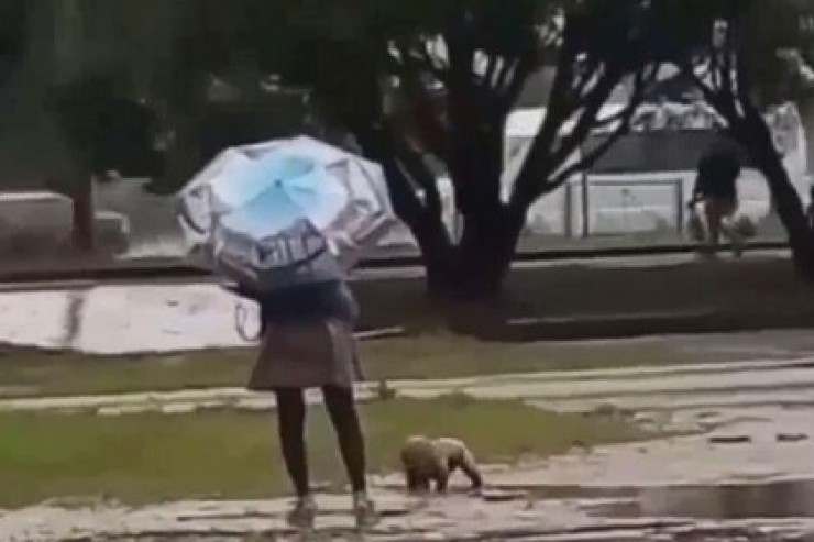Мать года: спартанское закаливание ребенка в грязной луже