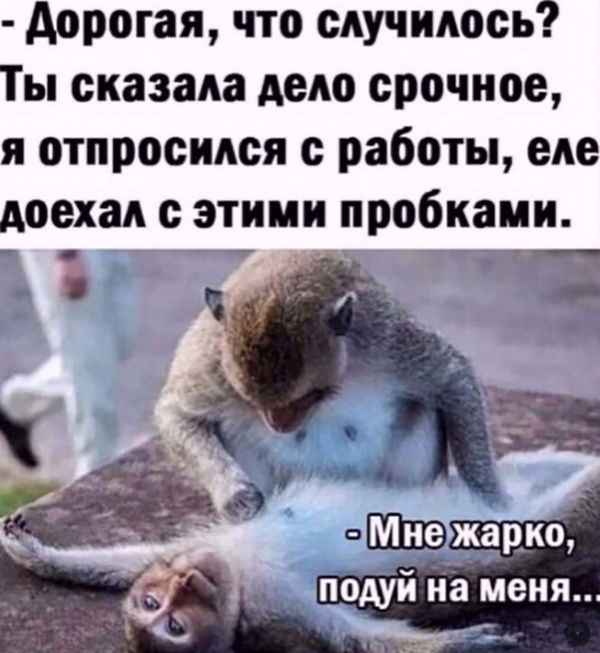 Картинки скучно прикольные с надписями смешные