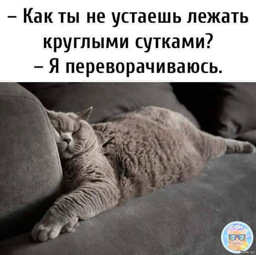 Утро вечера мудренее картинки прикольные со смыслом