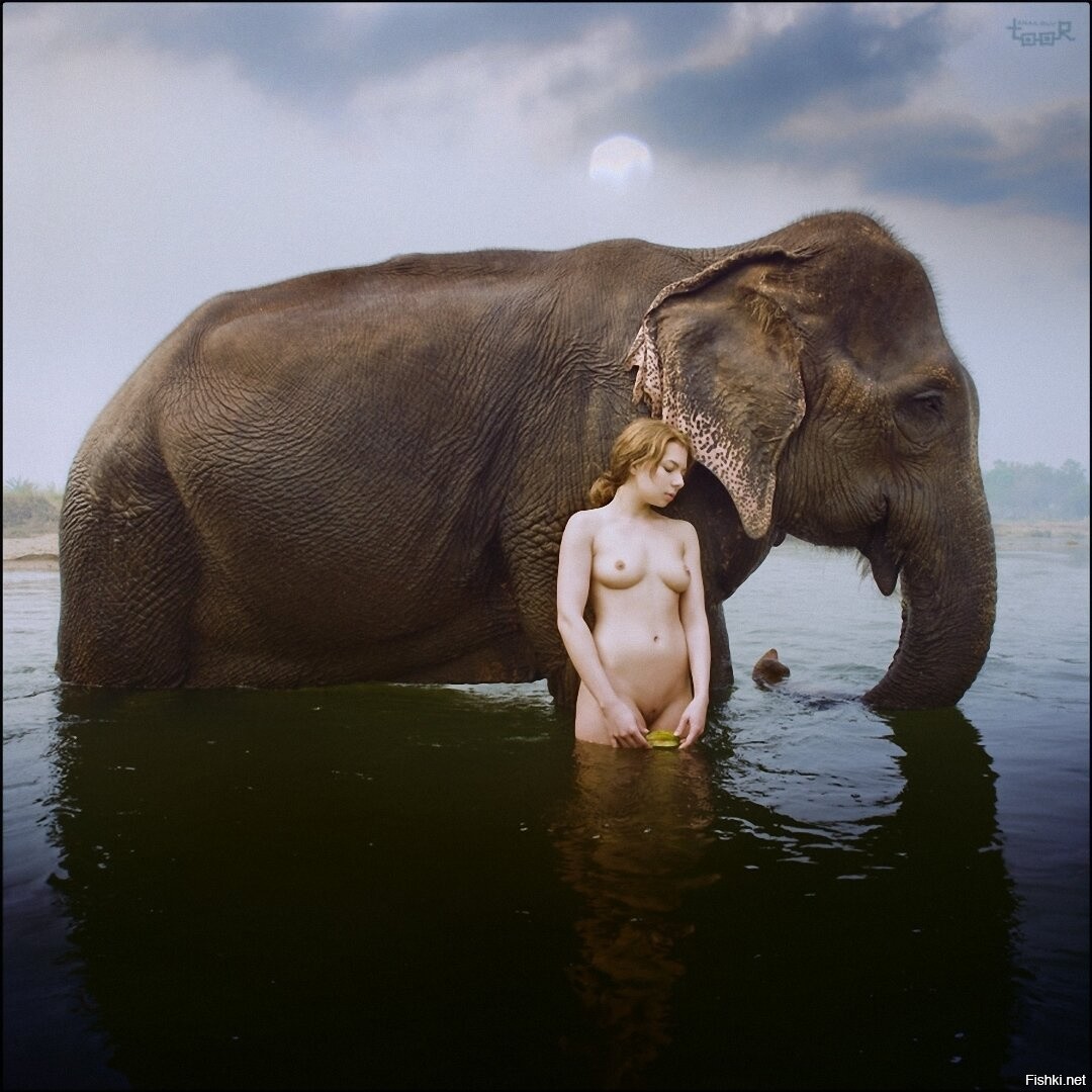 Girl Fucks Elephant