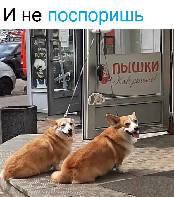 Воскресный Калейдоскоп позитива