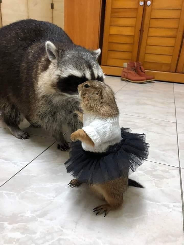 Воскресный Калейдоскоп позитива