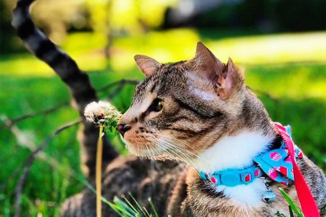 Воскресный Калейдоскоп позитива