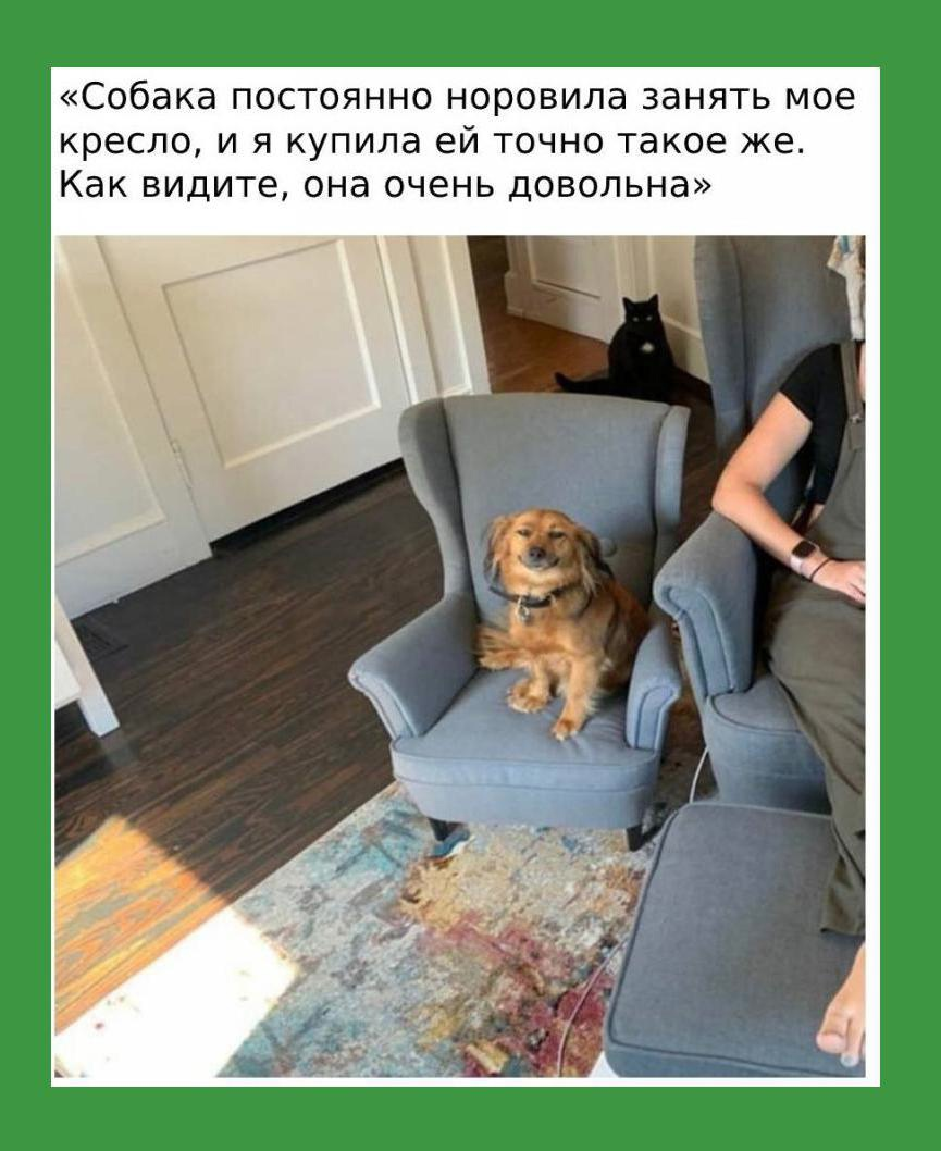 Воскресный Калейдоскоп позитива