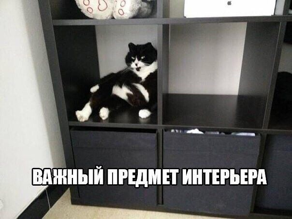 Воскресный Калейдоскоп позитива