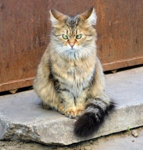 Судя по моему настроению, я не то, что не с той ноги встала. Я вообще по ходу с кровати навернулась...