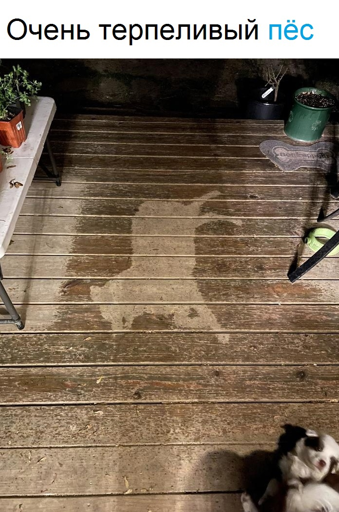 Воскресный Калейдоскоп позитива