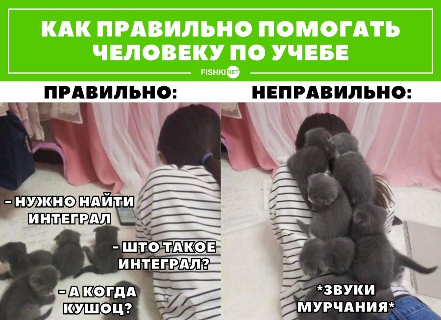 Воскресный Калейдоскоп позитива