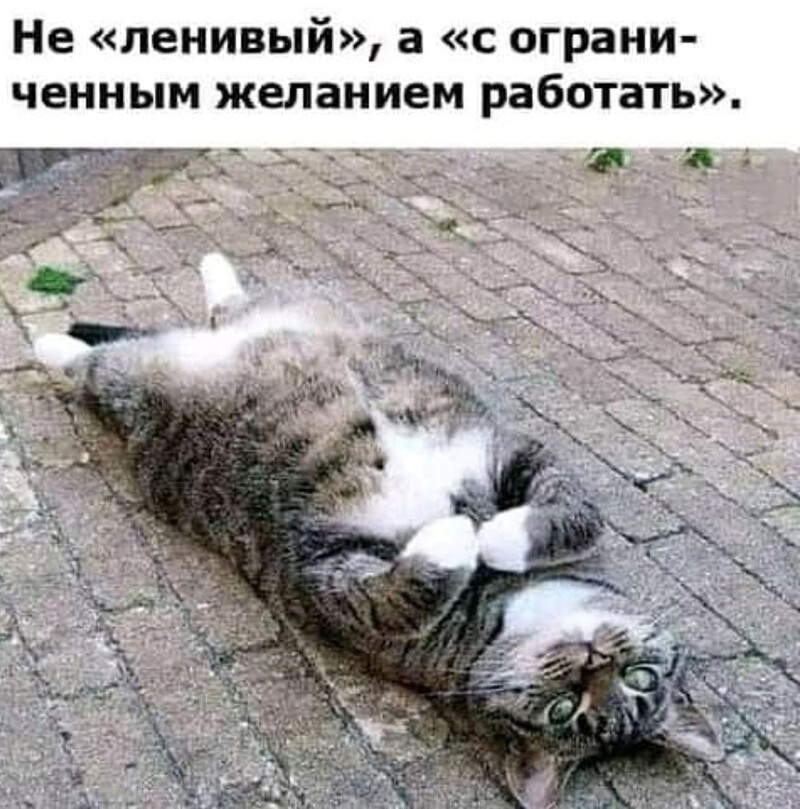 Воскресный Калейдоскоп позитива