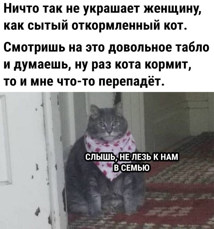 Воскресный Калейдоскоп позитива