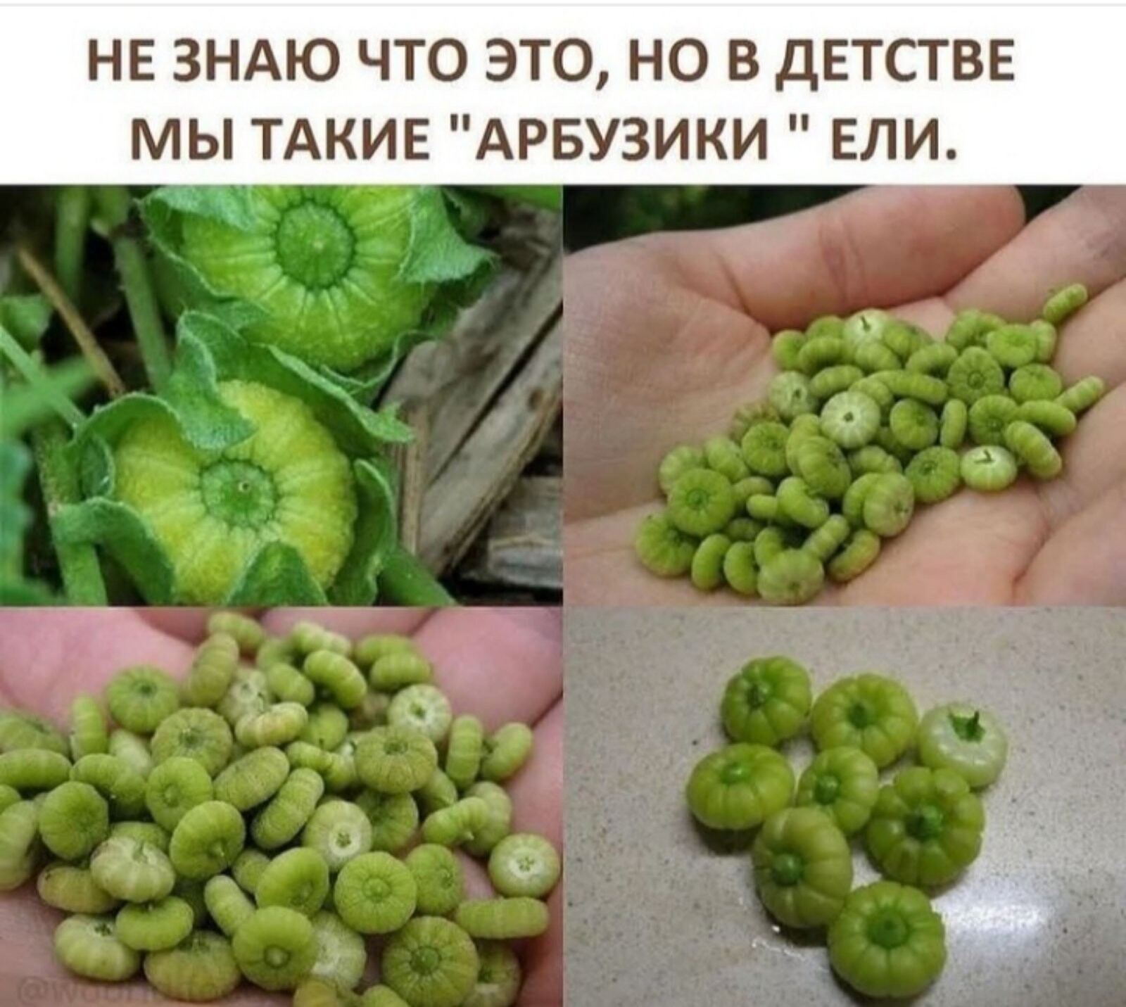 Лето, пока что