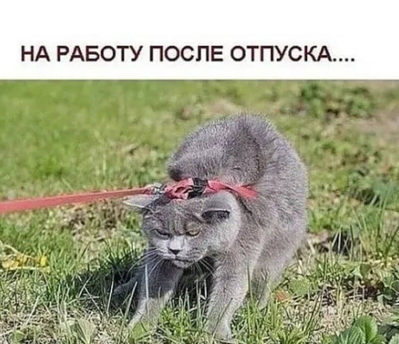 Лето, пока что