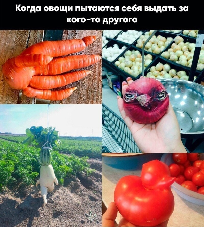 Лето, пока что