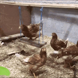 Просто гифки, всякие и разные