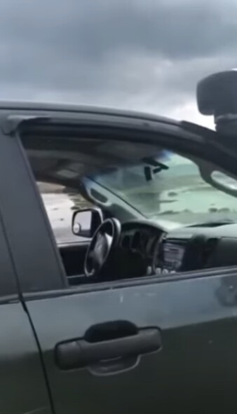 Выбитое медведем окно авто
