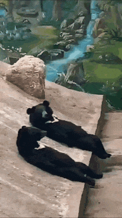 А мы такие загораем