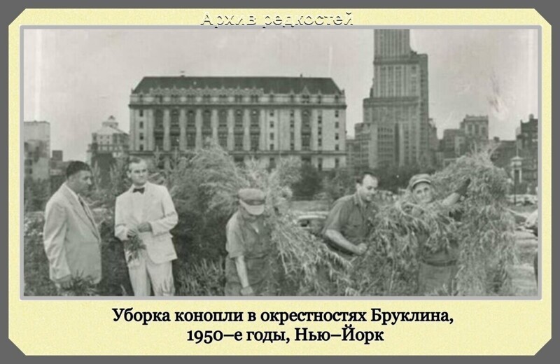 Фотографии с богатым историческим прошлым со всего мира