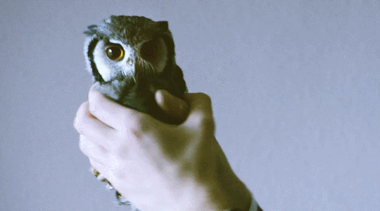 Просто гифки, всякие и разные